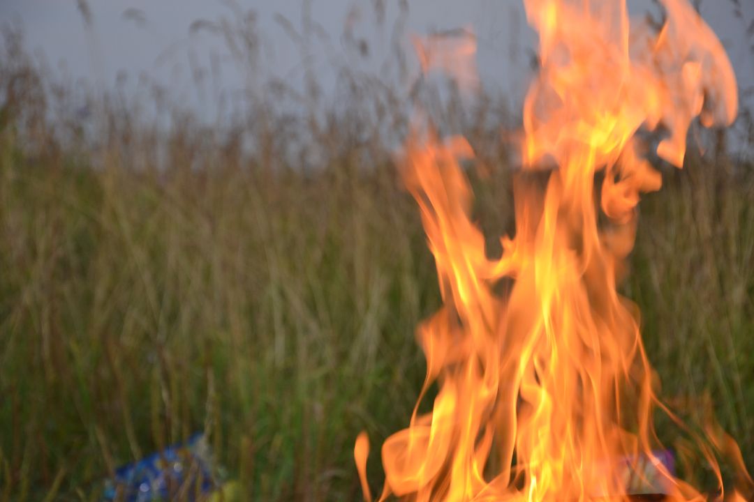 www, аэропорт, игроки, импортозамещение, искусственный интеллект, ветер,