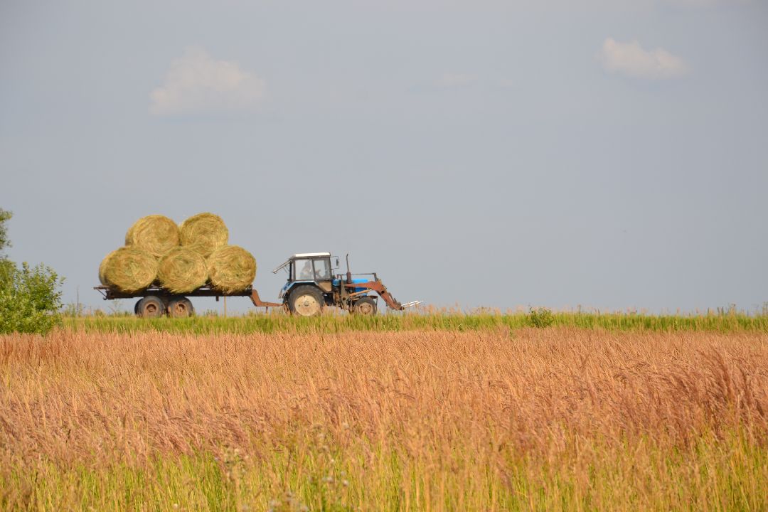 www, аэропорт, игроки, импортозамещение, искусственный интеллект, ветер,