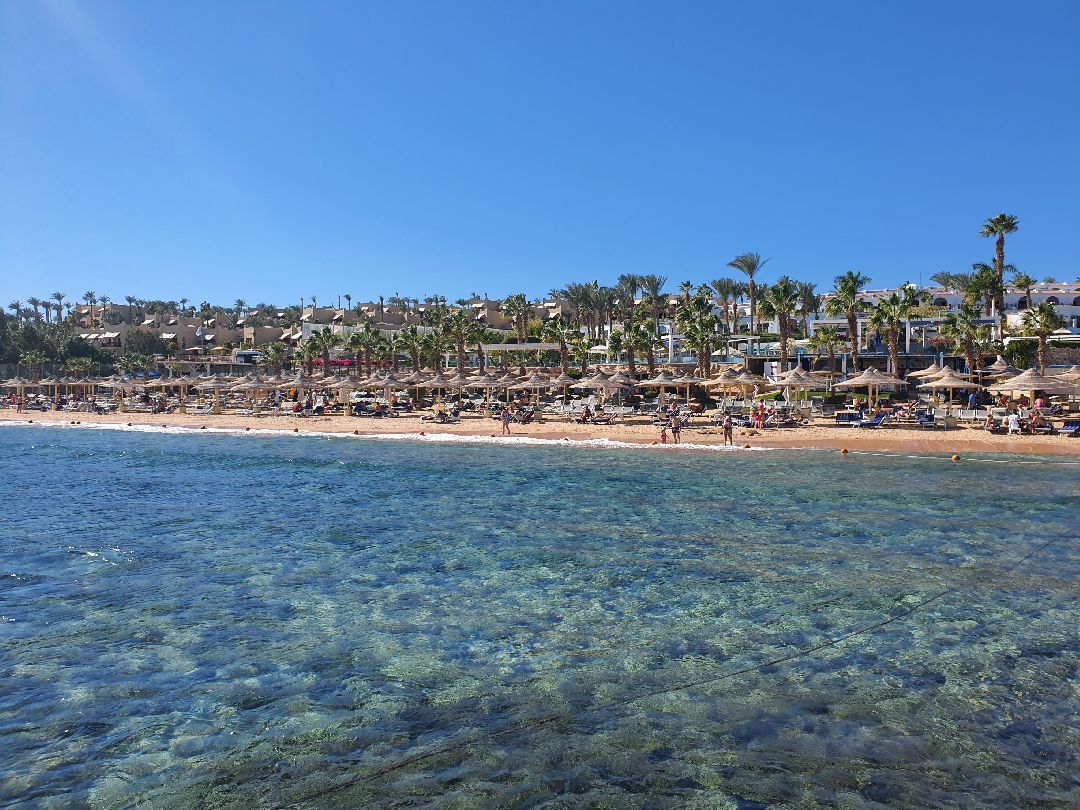 www, аэропорт, игроки, импортозамещение, искусственный интеллект, ветер,