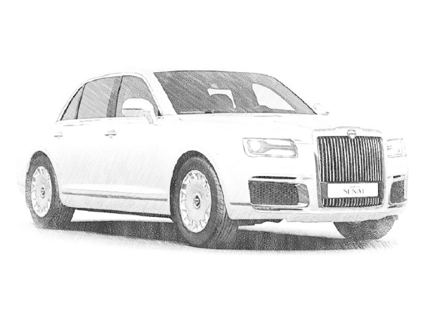 благоустройство, очистка от мусора, Звенигород